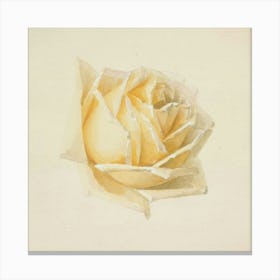 Yellow Rose Canvas Print