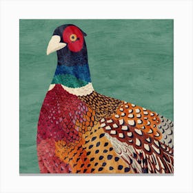 Pheasant Square Canvas Print