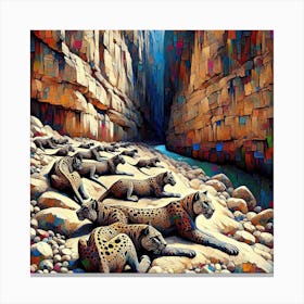 Leopards In The Canyon Canvas Print