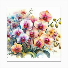 Orchids 13 Canvas Print