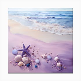 Seashells On The Beach Canvas Print