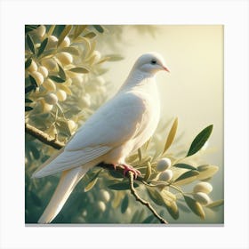 White Pigeon Canvas Print