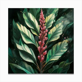 Hibiscus Flower Canvas Print