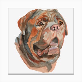 The Bullmastiff Canvas Print