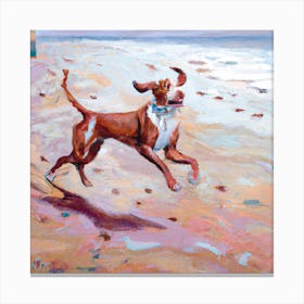 Dog Running On The Beach 1 Canvas Print