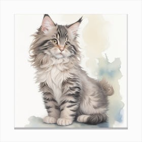Coon Kitten Canvas Print