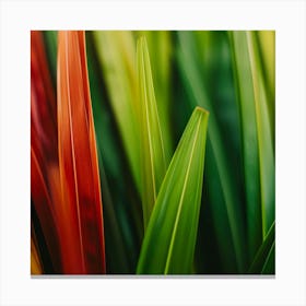 Colorful Leaves Of Grass Canvas Print