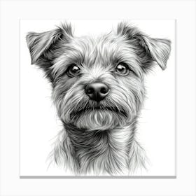 Cairn Terrier 2 Canvas Print