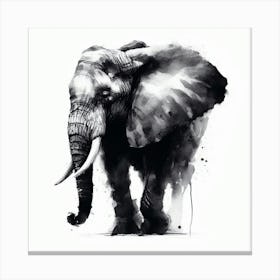 Elephant Canvas Print 2 Canvas Print