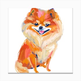 Pomeranian 02 Canvas Print