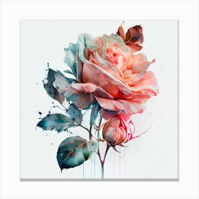 Watercolor Pink Rose Canvas Print