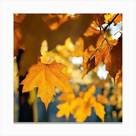 Showcase The Warm ; another autumn view Canvas Print
