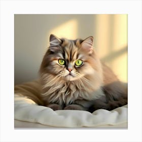 Persian Cat Canvas Print