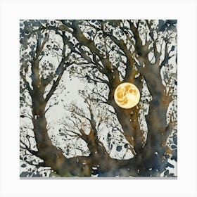 Moon In The Trees Canvas Print