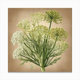 Fennel Canvas Print flower plants painting art print Canvas Print