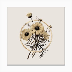 Gold Ring Chrysanthemum Glitter Botanical Illustration n.0268 Canvas Print