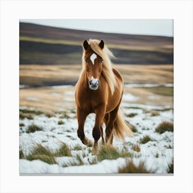 Horse In The Snow 2 Canvas Print