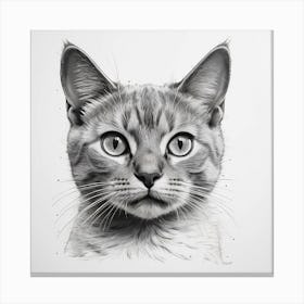 Black And White Drawing Of A Cat Canvas Print