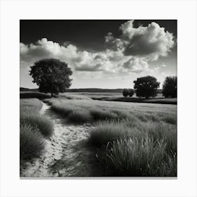 Path In The Field Canvas Print