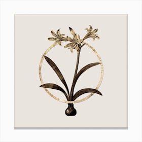 Gold Ring Amaryllis Glitter Botanical Illustration 1 Canvas Print
