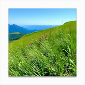 Wildflowers On A Hillside Canvas Print