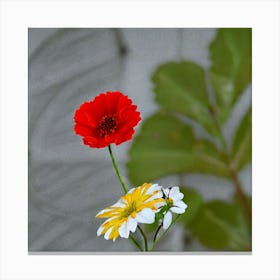 Two Red Flowers Canvas Print