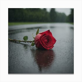 Rose In The Rain 1 Canvas Print