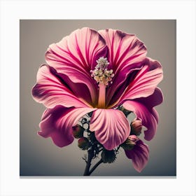 Hibiscus Flower 2 Canvas Print