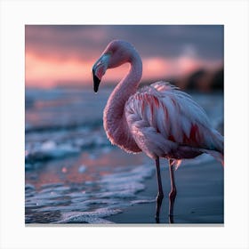 Pink Flamingo At Sunset Canvas Print