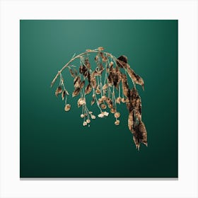 Gold Botanical Visciola Cherries on Dark Spring Green n.0914 Canvas Print