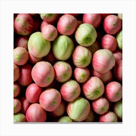 Pink And Green Figs Canvas Print