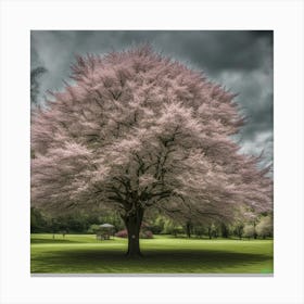 Cherry Pink And Apple Blossom Canvas Print