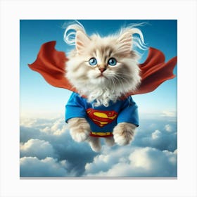 Superman Cat 3 Canvas Print