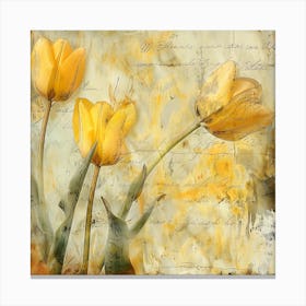 Yellow Tulips Canvas Print