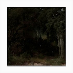 Night In The Woods 2 Canvas Print