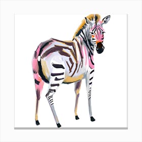 Grevy S Zebra 01 Canvas Print