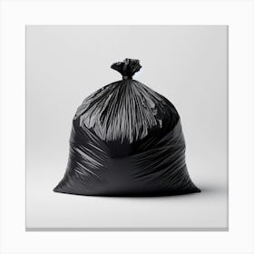 Black Garbage Bag 2 Canvas Print