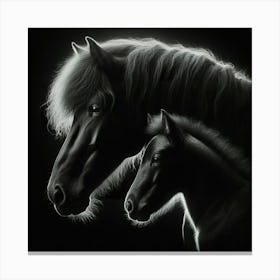 Black Horse And Foal 5 Canvas Print