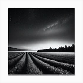 Night In The Field Canvas Print