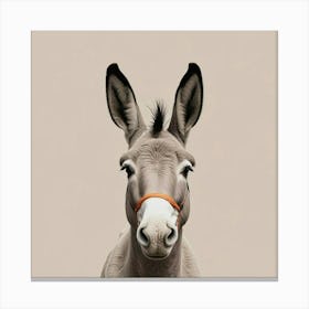 Donkey Portrait Canvas Print