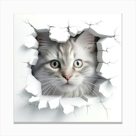 Cat Through A Hole 2 Canvas Print