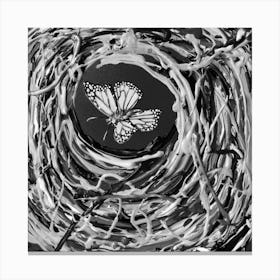 Butterfly 01 / Black & White / 30x30cm Canvas Print