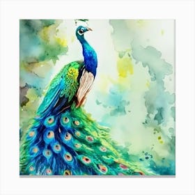 Peacock Watercolor Painting Canvas Print