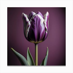 Flower Tulip Purple Tulip Flora Decor To Flourish Flower Background Canvas Print