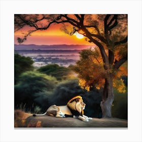 Lion At Sunset 22 Canvas Print