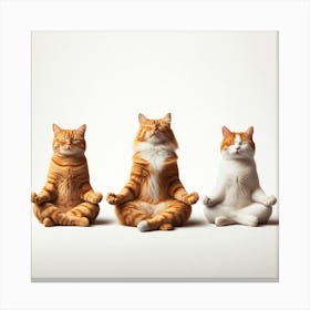 Three cats meditating 1 Canvas Print