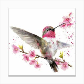 Hummingbird 21 Canvas Print