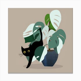 Cat In A Pot 4 Canvas Print