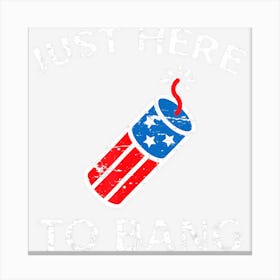 Limited Edition Funny Fourth Of July 4th Of July Just Here To Canvas Print