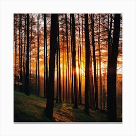 Sunset In The Forest 21 Canvas Print